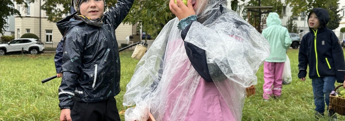 Zwei Kinder stehen auf einer Wiese und ernten Äpfel beim Ernte- und Saftfest Zeitz