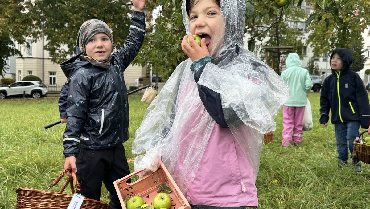 Zwei Kinder stehen auf einer Wiese und ernten Äpfel beim Ernte- und Saftfest Zeitz