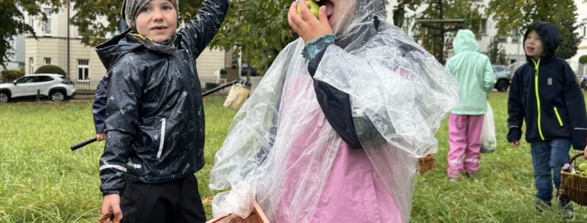 Zwei Kinder stehen auf einer Wiese und ernten Äpfel beim Ernte- und Saftfest Zeitz