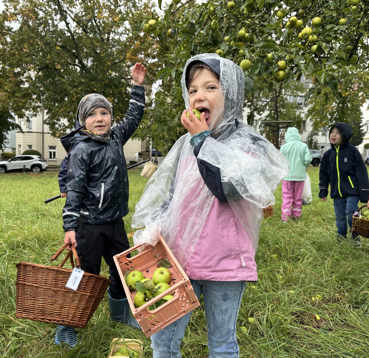 Zwei Kinder stehen auf einer Wiese und ernten Äpfel beim Ernte- und Saftfest Zeitz